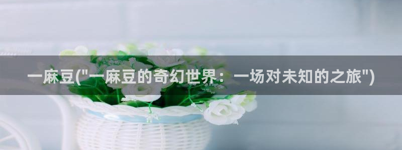 麻豆专区免费：一麻豆(\