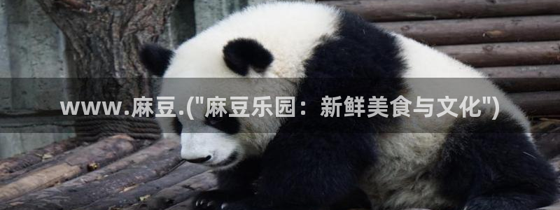 国产麻豆专区：www.麻豆.(\