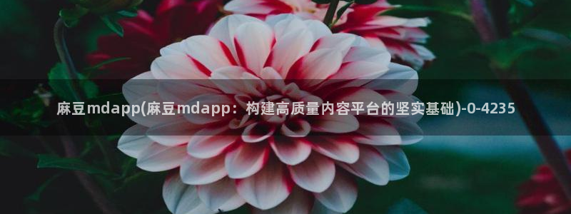 麻豆精品：麻豆mdapp(麻豆mdapp：构建高质量内容平台的坚实基础)