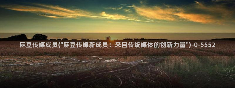 麻豆作品：麻豆传媒成员(\