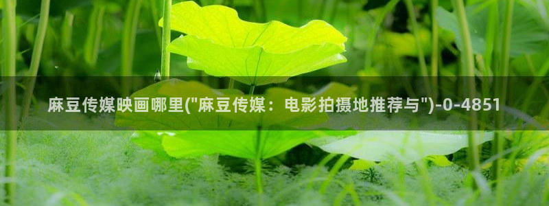 久久社区麻豆：麻豆传媒映画哪里(\