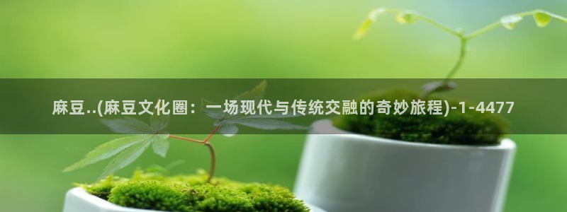 91麻豆国产专区