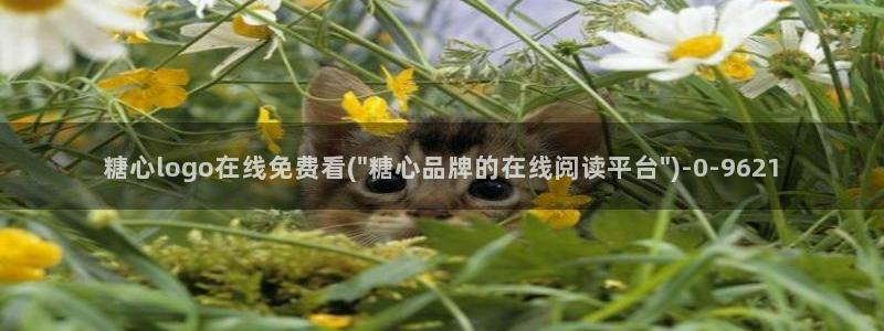 糖心vlog在线观看高清