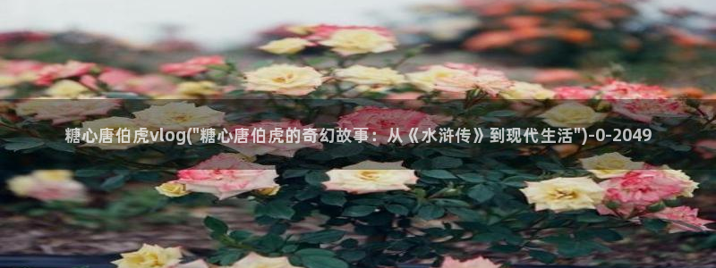 破解糖心vlog