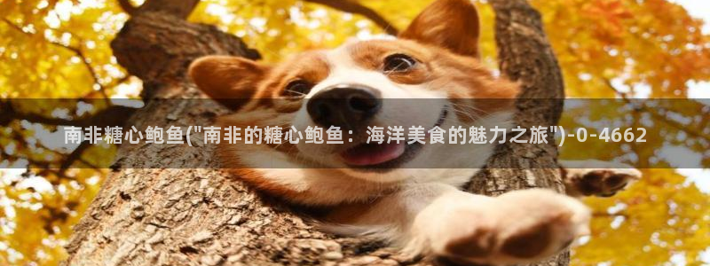 免费版糖心vlog