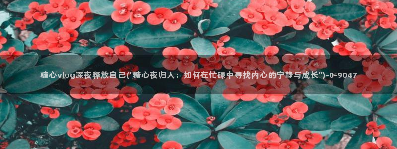 糖心vlog精产国品入口