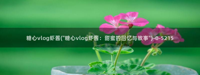 糖心vlog软件下载