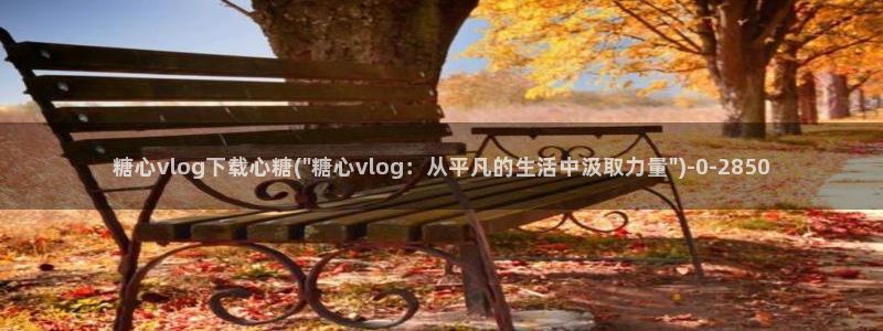 心糖vlog在线免费播放