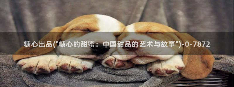 糖心vlog直播