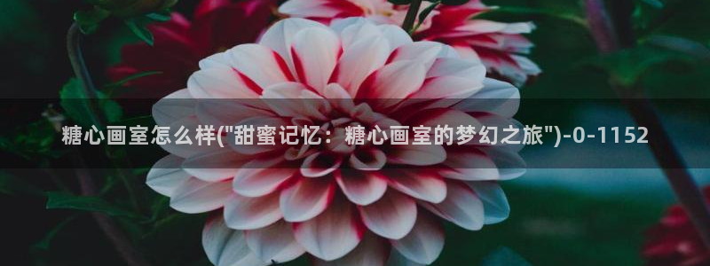 糖心vlog深夜里释放自己