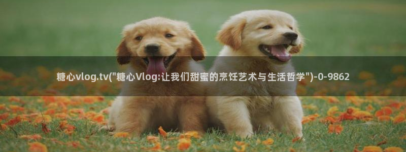 糖心vlog免费软件