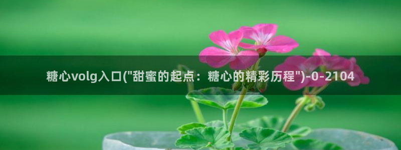 糖心vlog网址入口