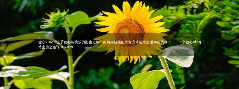 糖果心vlog在哪下