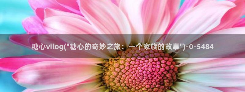 糖心vlog网站免费