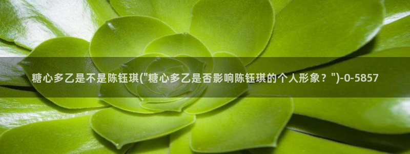 糖心vlog苏小