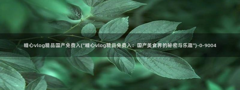 糖心vlog作品